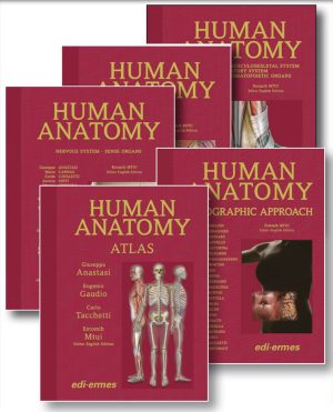 ANATOMY BAG PLUS