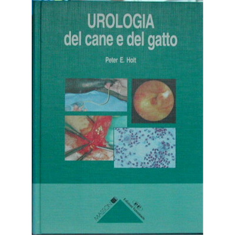 Scienze della Formazione - Teoria