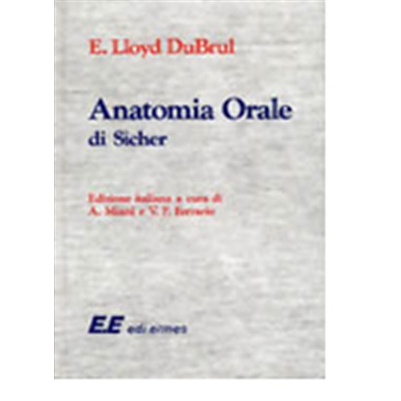 Anatomia orale di Sicher