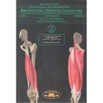 ANATOMIA DELL'APPARATO LOCOMOTORE - ARTO INFERIORE - CD-ROM Multimediale