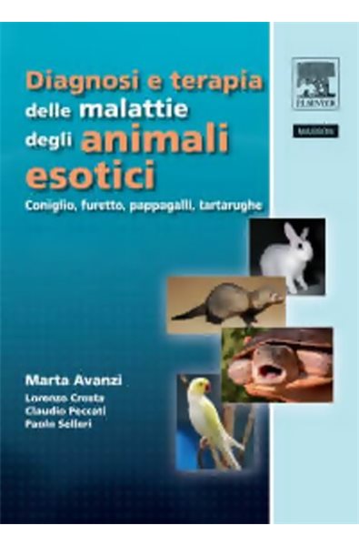 ELEMENTI DI PROGRAMMAZIONE MATEMATICA