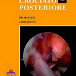 Il Legamento Crociato Posteriore