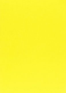 Fondamenti geometrici della teoria della controllabilità