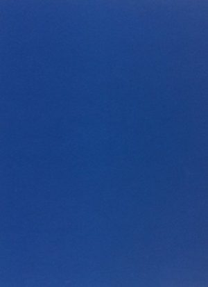 Picule storie dai miecs di comunicazion. Testo friulano
