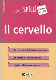 Il cervello - immagine 2