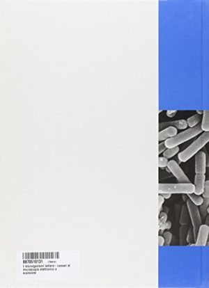 I microrganismi lattiero-caseari al microscopio elettronico a scansione
