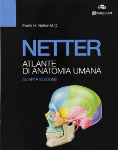 Netter Gray. L'anatomia. La chiarezza e il fascino dell'anatomia: Anatomia del Gray. Le basi anatomiche per la pratica clinica-Atlante di anatomia umana