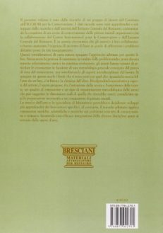 La conservazione delle pitture murali