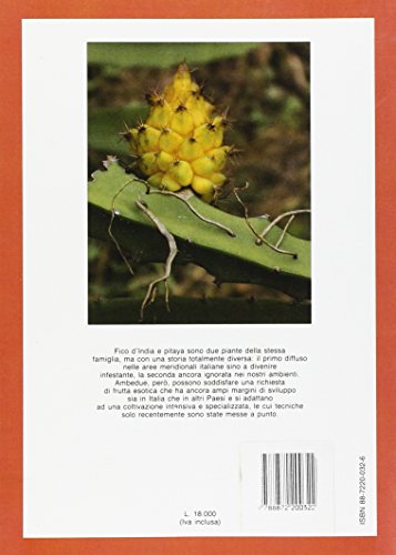 Fico d'India e pitaya - immagine 2