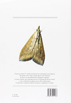 Insetti dannosi alle piante ortive