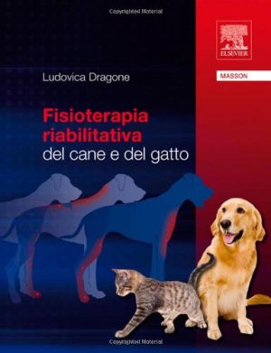 Fisioterapia riabilitativa dal cane e del gatto