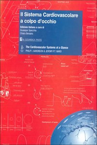 Il sistema cardiovascolare a colpo d'occhio