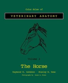 Color Atlas Veterinary Anatomy: Volume 2, The Horse