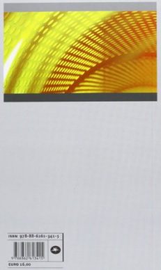 Risonanza magnetica e spondiloentesoartriti