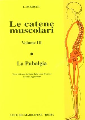 Le catene muscolari: 3