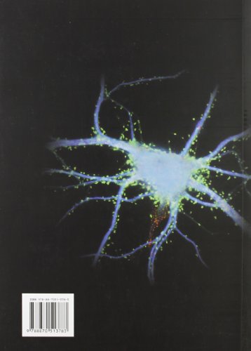 Fisiologia - immagine 2