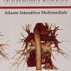 Anatomia umana. Atlante. Con aggiornamento online: cofanetto con volume 1-2-3 - immagine 7