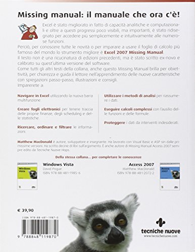 Excel 2007 - immagine 2