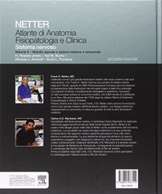 Netter Atlante di anatomia fisiopatologia e clinica Sistema nervoso II