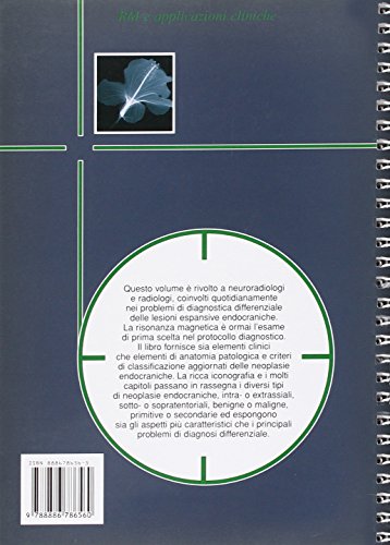 RM in neurologia - immagine 2