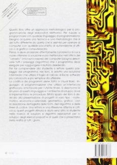 La programmazione degli elaboratori in Visual Basic