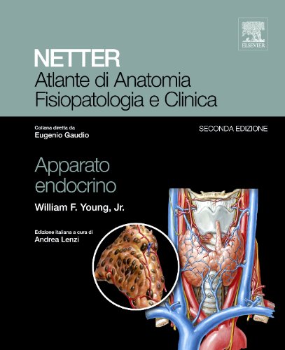 Netter Atlante di anatomia fisiopatologia e clinica Apparato endocrino - immagine 3