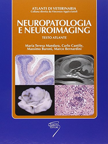Nuropatologia e neuroimaging. Testo atlante - immagine 4