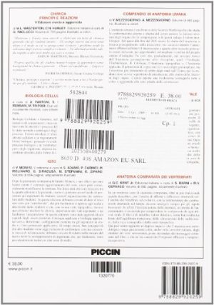 Elementi di fisica