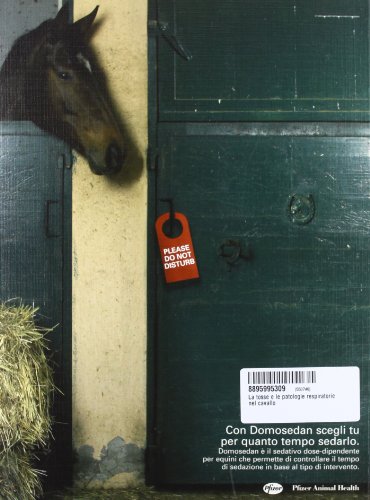 La tosse e le patologie respiratorie nel cavallo