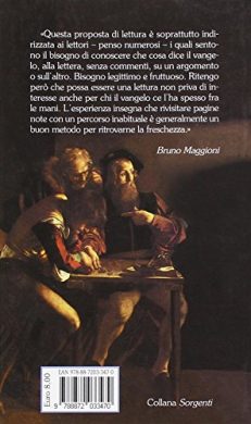 Il mio vangelo. I quattro Vangeli riuniti e ordinati per argomenti