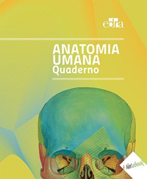 Atlante di anatomia umana