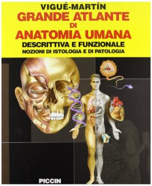 Grande atlante di anatomia umana. Descrittiva e funzionale. Nozioni di istologia e patologia.