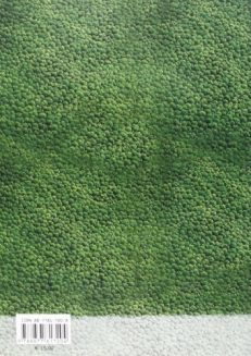 I proibiotici in gastroenterologia pediatrica oggi