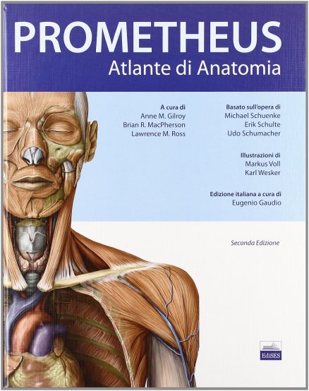 Prometheus Atlante di anatomia