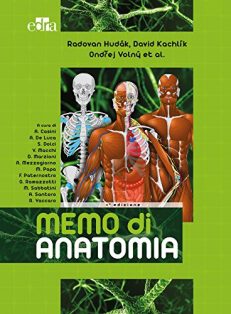 Memo di anatomia