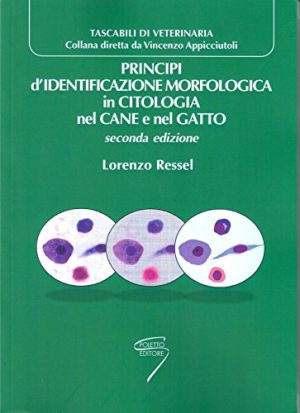 PRINCIPI D'IDENTIFICAZIONE MORFOLOGICA IN CITOLOGIA NEL CANE E NEL GATTO