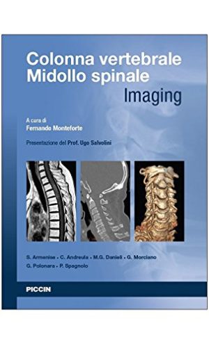 Colonna Vertebrale Midollo Spinale - Imaging