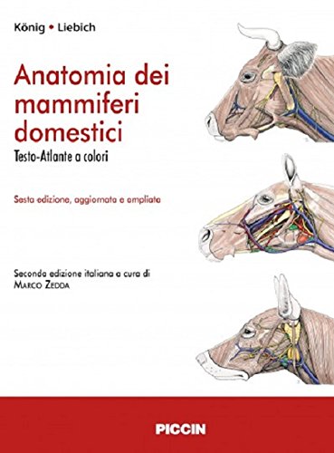 Anatomia dei mammiferi domestici