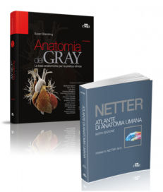Anatomia del GRAY (42a ed) NETTER Atlante di anatomia umana (6a ed)