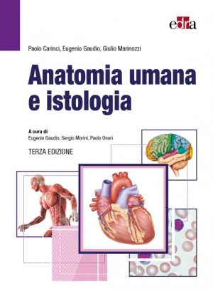 Anatomia umana e istologia