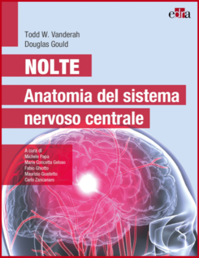 Nolte - Anatomia del sistema nervoso centrale