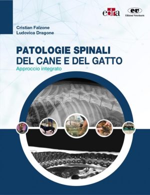 Patologie spinali del cane e del gatto