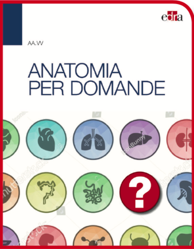 Anatomia per domande