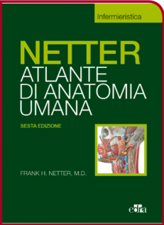 NETTER ATLANTE DI ANATOMIA UMANA Scienze Infermieristiche