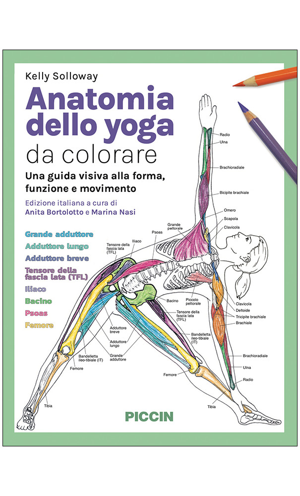 Anatomia dello yoga da colorare