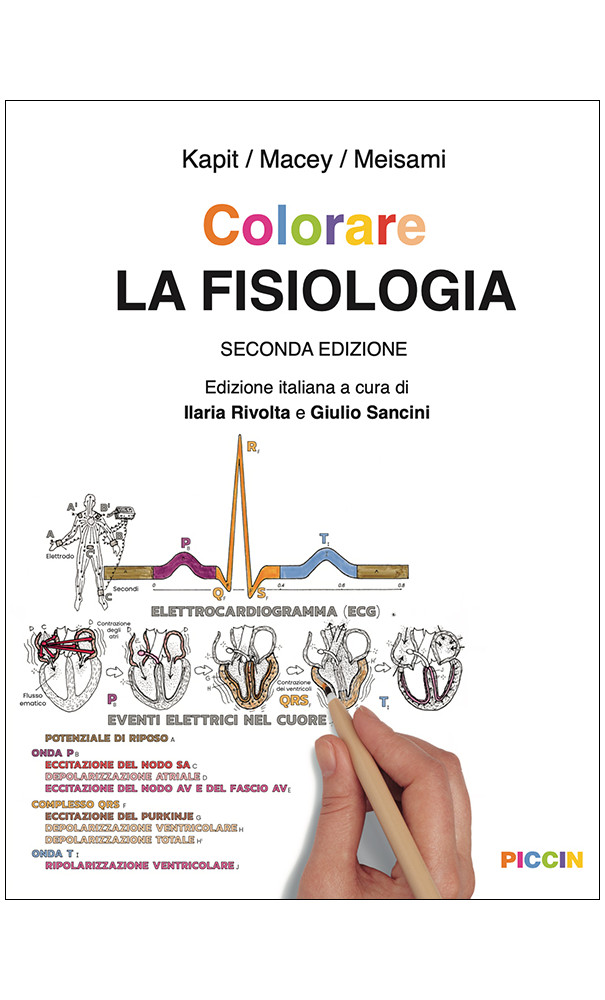 Colorare la fisiologia