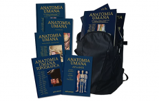 Anatomy Bag Plus