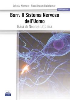 Barr: il Sistema Nervoso dell'Uomo