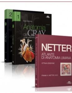 COFANETTO NETTER GRAY L'ANATOMIA