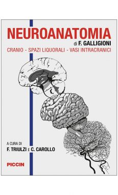 Neuroanatomia di F. Galligioni. Cranio - spazi liquorali - vasi intracranici